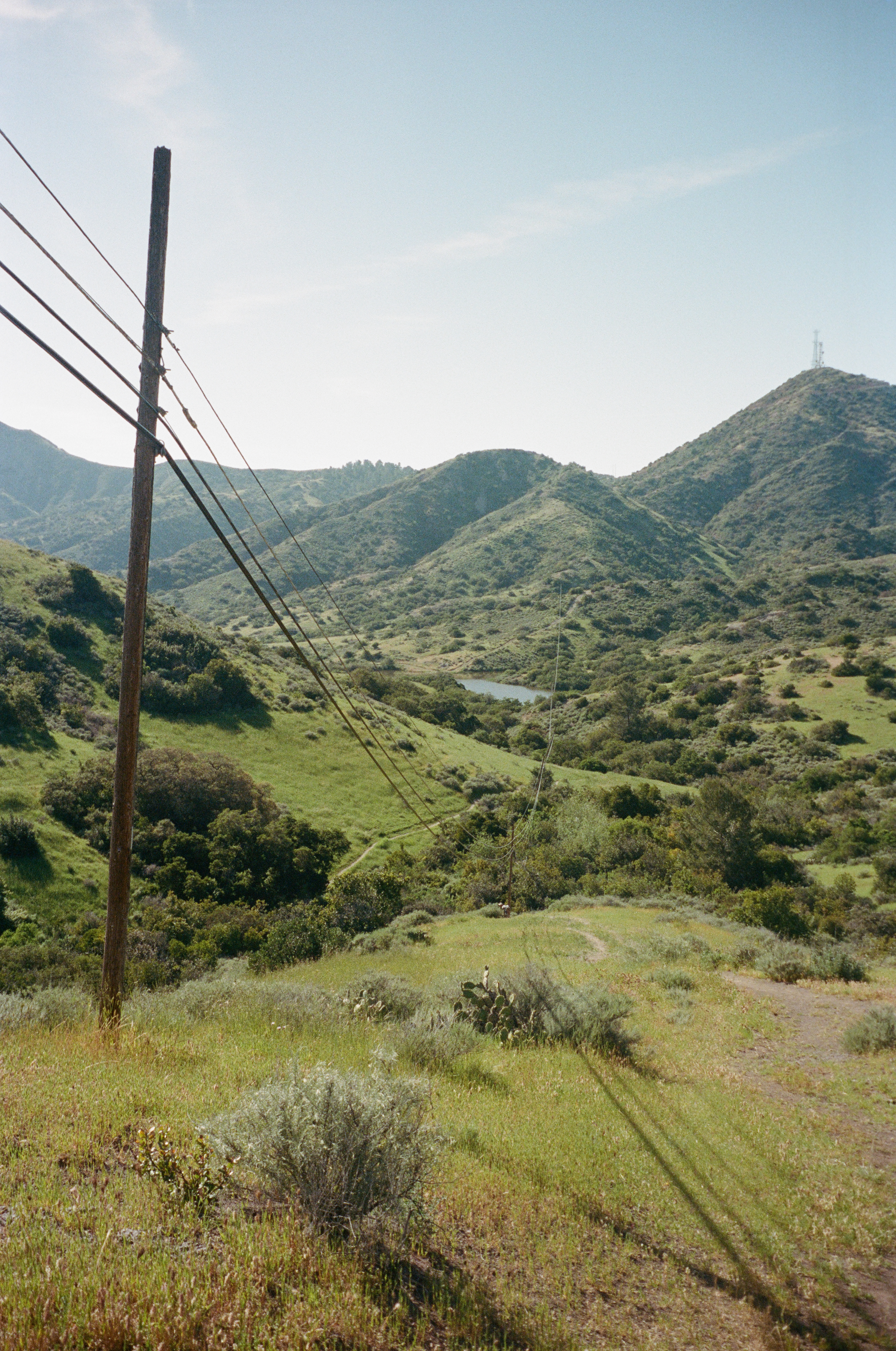 Trans Catalina Trail